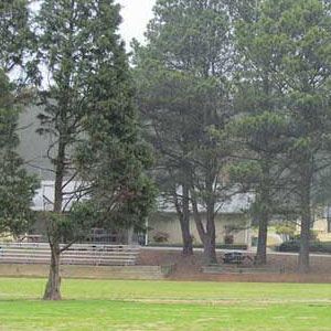 McCurry Park